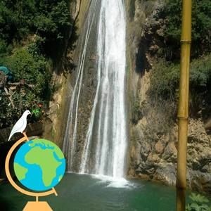 Meet your Posher, Moussa